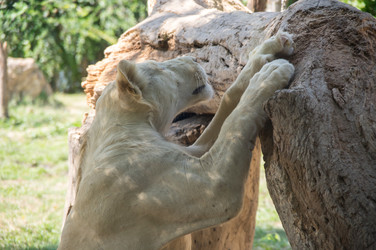 Similar image 22632838