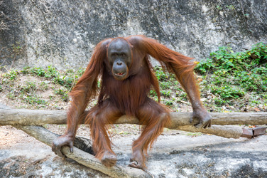 Similar image 22632842