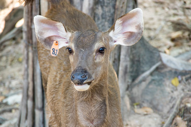 Similar image 22632857