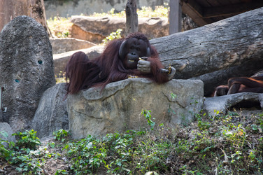 Similar image 22632858