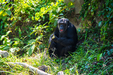 Similar image 22632863