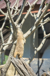 Similar image 22632866