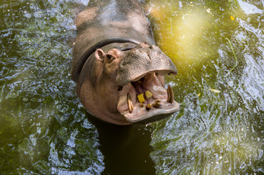 Similar image 22632867