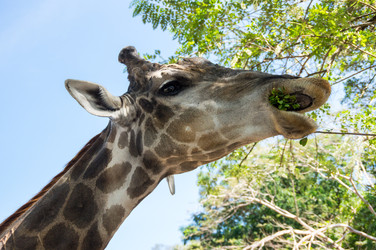 Similar image 22632877