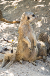 Similar image 22632881