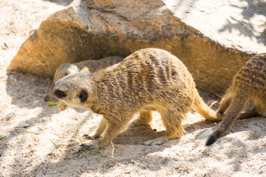 Similar image 22632882