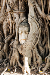 Similar image 22632891