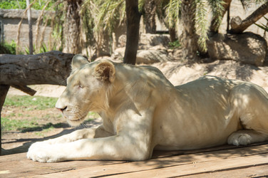 Similar image 22632894