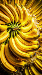 Similar image 22637597