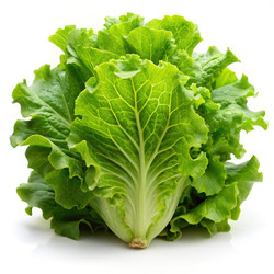 Similar image 22637773