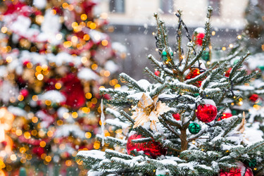 Similar image 22632235