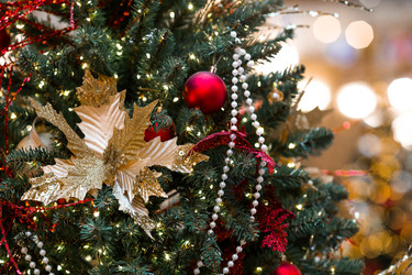 Similar image 22632236