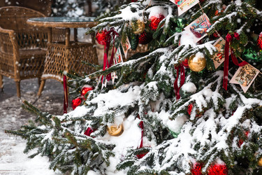 Similar image 22632239