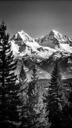 Similar image 22638658