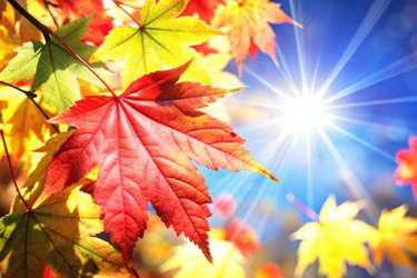 Similar image 22638895