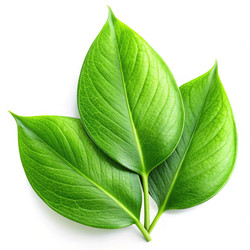 Similar image 22638988