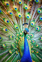 Similar image 22635084