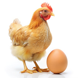 Similar image 22635613