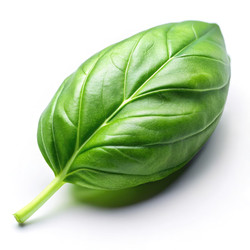 Similar image 22635778