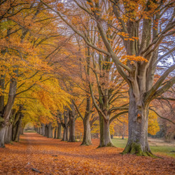 Similar image 22635807