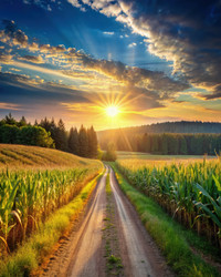 Similar image 22635899