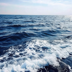 Similar image 22638137