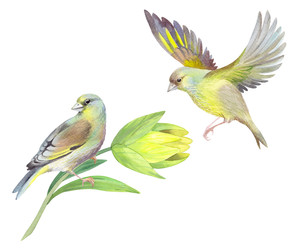 Similar image 22638350