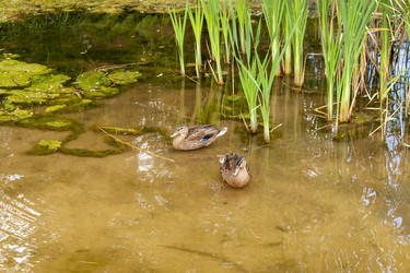 Similar image 22635494