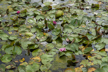 Similar image 22635507