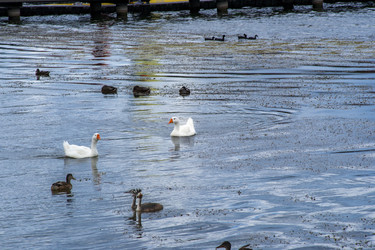 Similar image 22635511