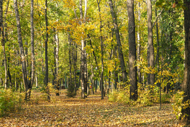 Similar image 22635512