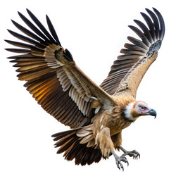 Similar image 22635752