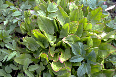 Similar image 22632434