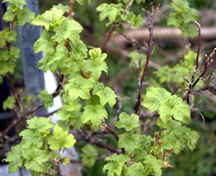 Similar image 22632435