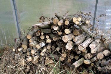 Similar image 22632437