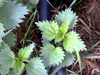 Similar image 22632438
