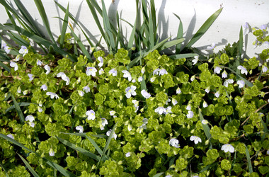 Similar image 22632450