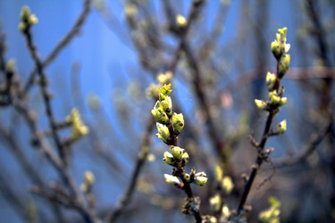 Similar image 22632454