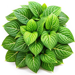 Similar image 22635742