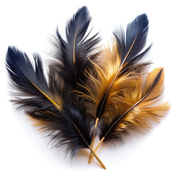 Similar image 22635832