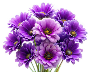 Similar image 22635908