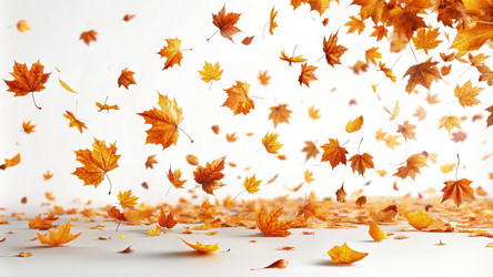 Similar image 22640258