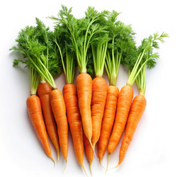 Similar image 22640265