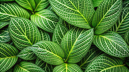 Similar image 22638076