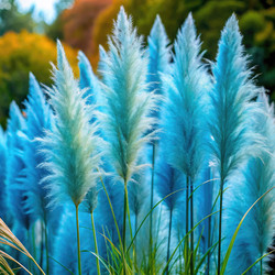 Similar image 22635081