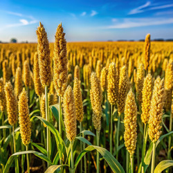 Similar image 22635626