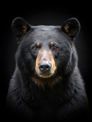 Similar image 22639184