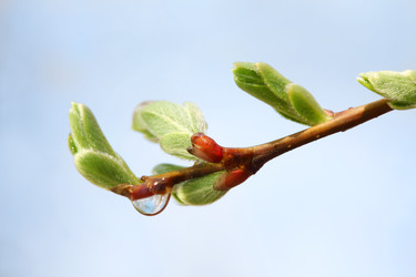 Similar image 22642989