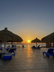 Similar image 22636016