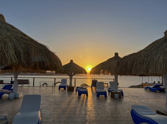 Similar image 22636020